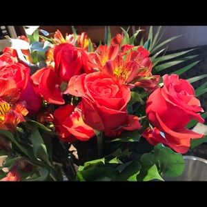 Meet your Posher, Alison